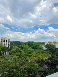 Mayfair Modern (D21), Condominium #450096421